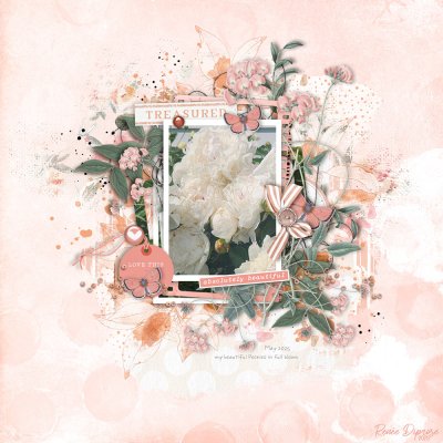 Peonies in Full Bloom