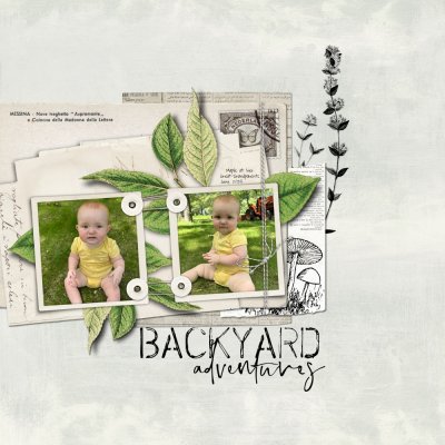 Backyard Adventures