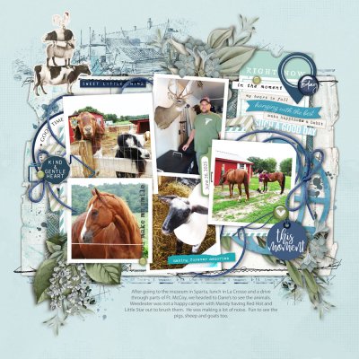 Farm Animals