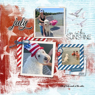 4th of July Week-2