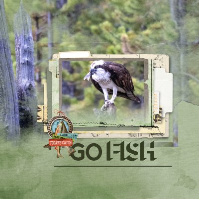 Go Fish