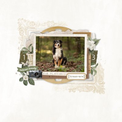 Treasure: SSL 7/12