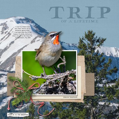 Rubythroat