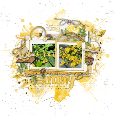 Sunny Flowers_LWNo2380.png