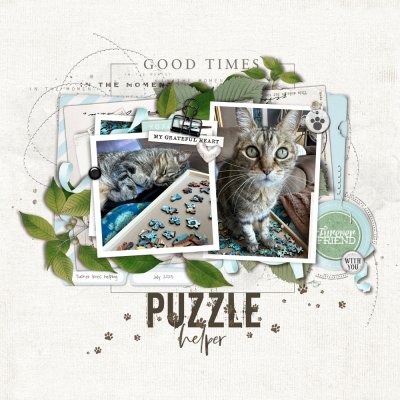 my puzzle helper