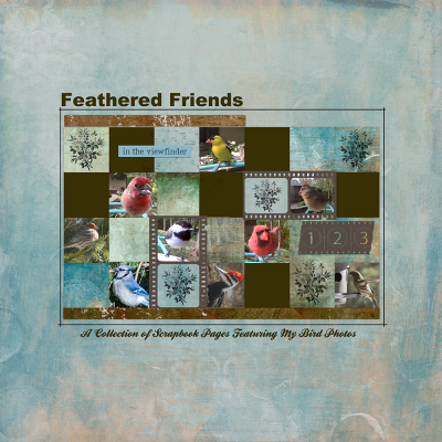 Cover for Bird Photo Book