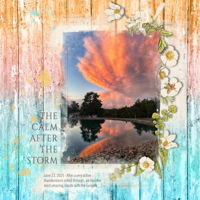 Let's Blend Challenge -July  "The Calm After the Storm"