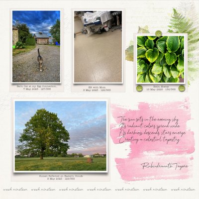 WEEK 19A
