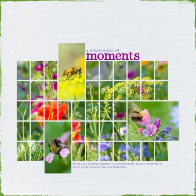 20250717_MomentsK.jpg