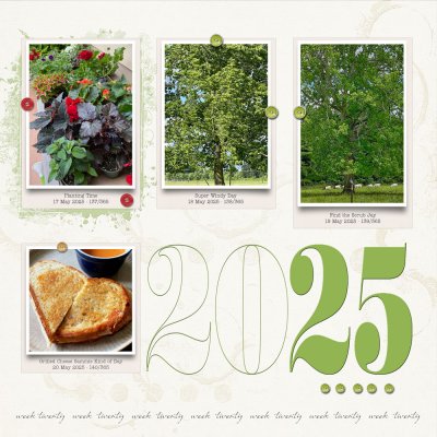 WEEK 20B