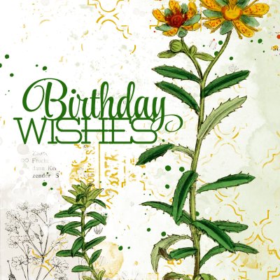Happy Birthday Julie!