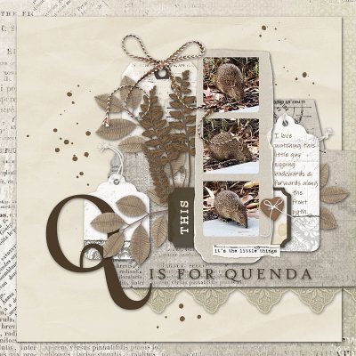 Quenda