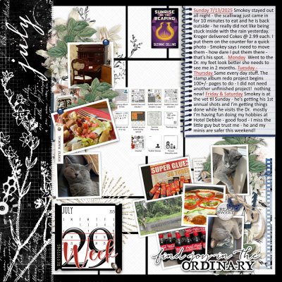 2025-Project-life-week-29