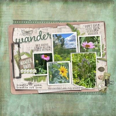 Wander Away