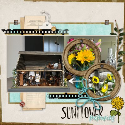 SSL-Log-cabin-and-sun flowers
