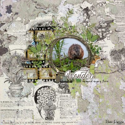 07-20-Sunday-Scraplift-Caught-on-Film