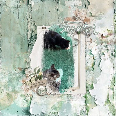 SSL - Single and Layered - July 26