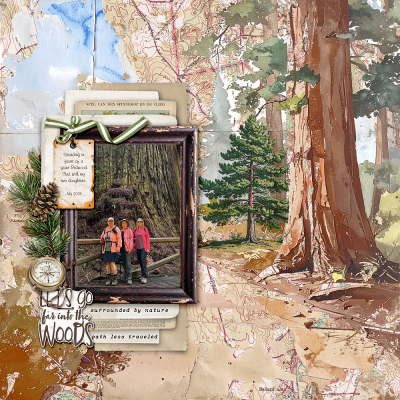 Rewood Trail Hike_web.png