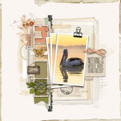 2509 CC-Resident-Pelican.jpg