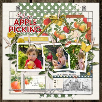 Apple Picking
