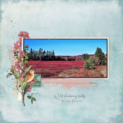 Bluberry feilds copy.jpg