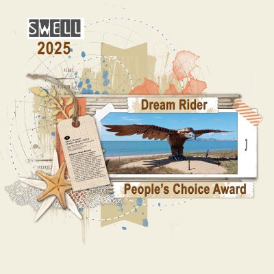 25 10 Swell - Dream Rider.jpg