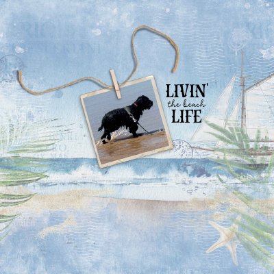 25 10 Livin' the beach life.jpg