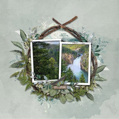 Lower falls at Yellowstone