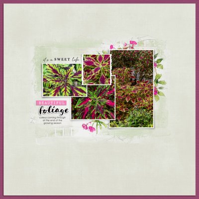 Foliage: Scraplift Chain