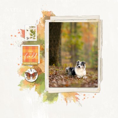 This is Fall: Template Challenge