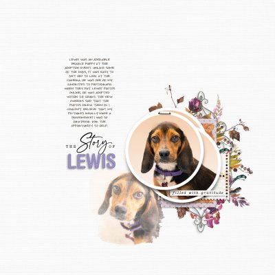 The Story of Lewis: SSL 11/8