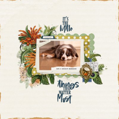 Little Things: SOSN Challenge