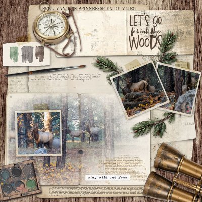 Let's Go Far Into the Woods