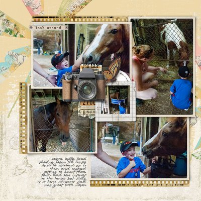 Details of a favorite place [left]