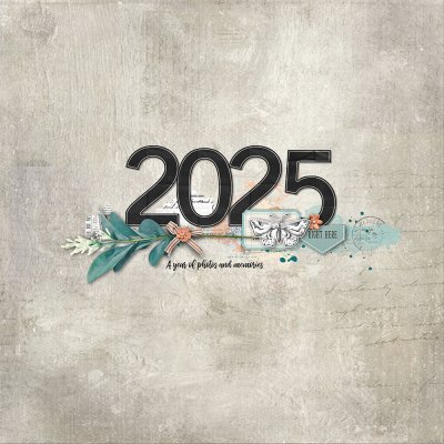 2025 Monthly Memories Cover