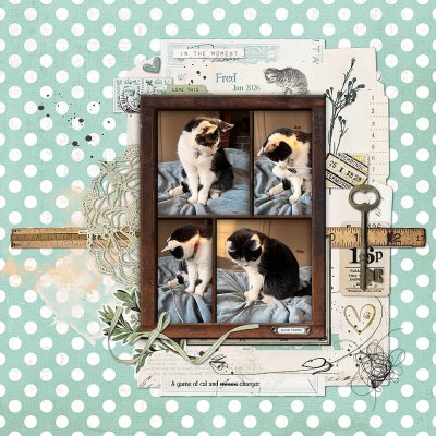 A game of cat... and charger