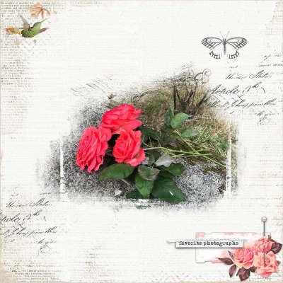 2018-06-03 Backyard roses