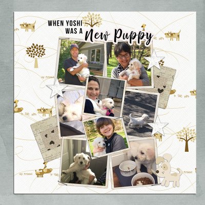 30 Minute: New Puppy