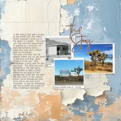 Palm Springs 01/26 Pg1