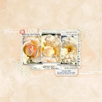 Template Mash Up No 2 01/25