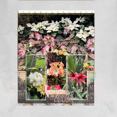 The ABCs of Me, You, and Us - January 16