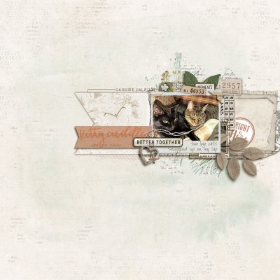 SSL - Placed On A Strip - January 24