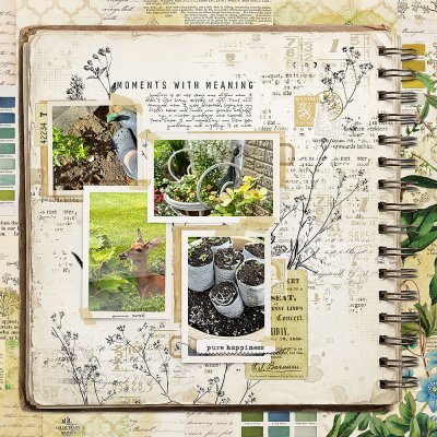 Moments with Meaning