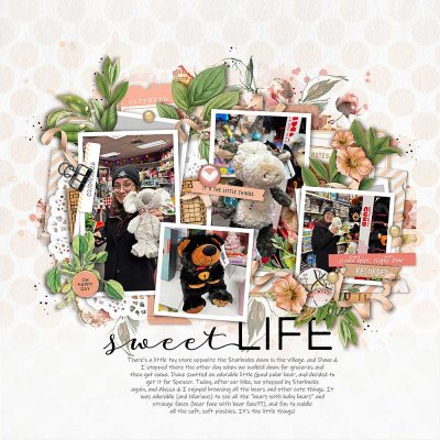 2026-02-09 Toy store bears