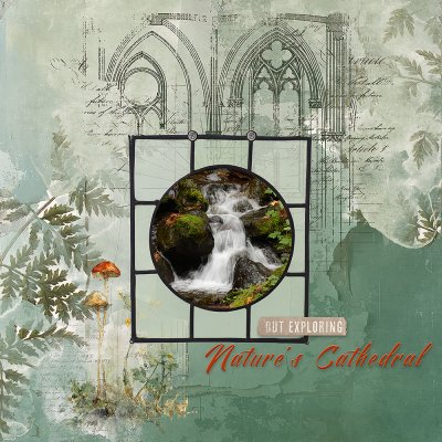 Exploring Nature's Cathedral