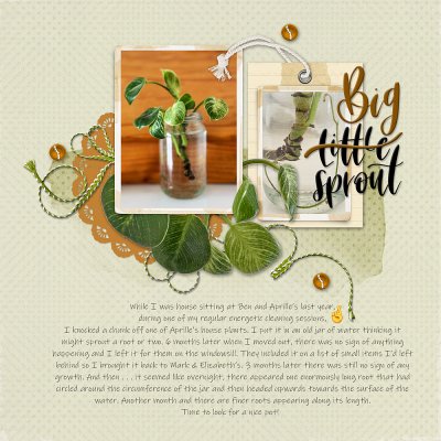 Challenge of the month: Big Sprout
