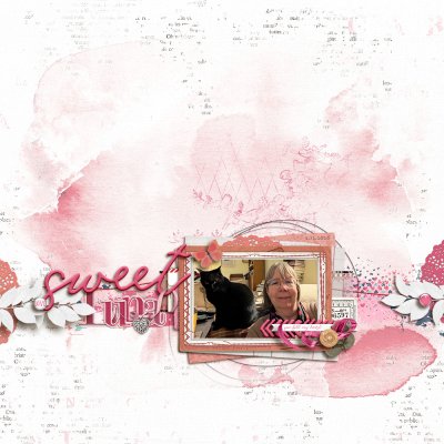 Color - Blush - February 6