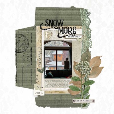 2026-02-12 Snow more