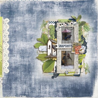 Kit Centric - BirdSong - March 4