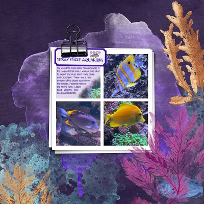 Aquarium
